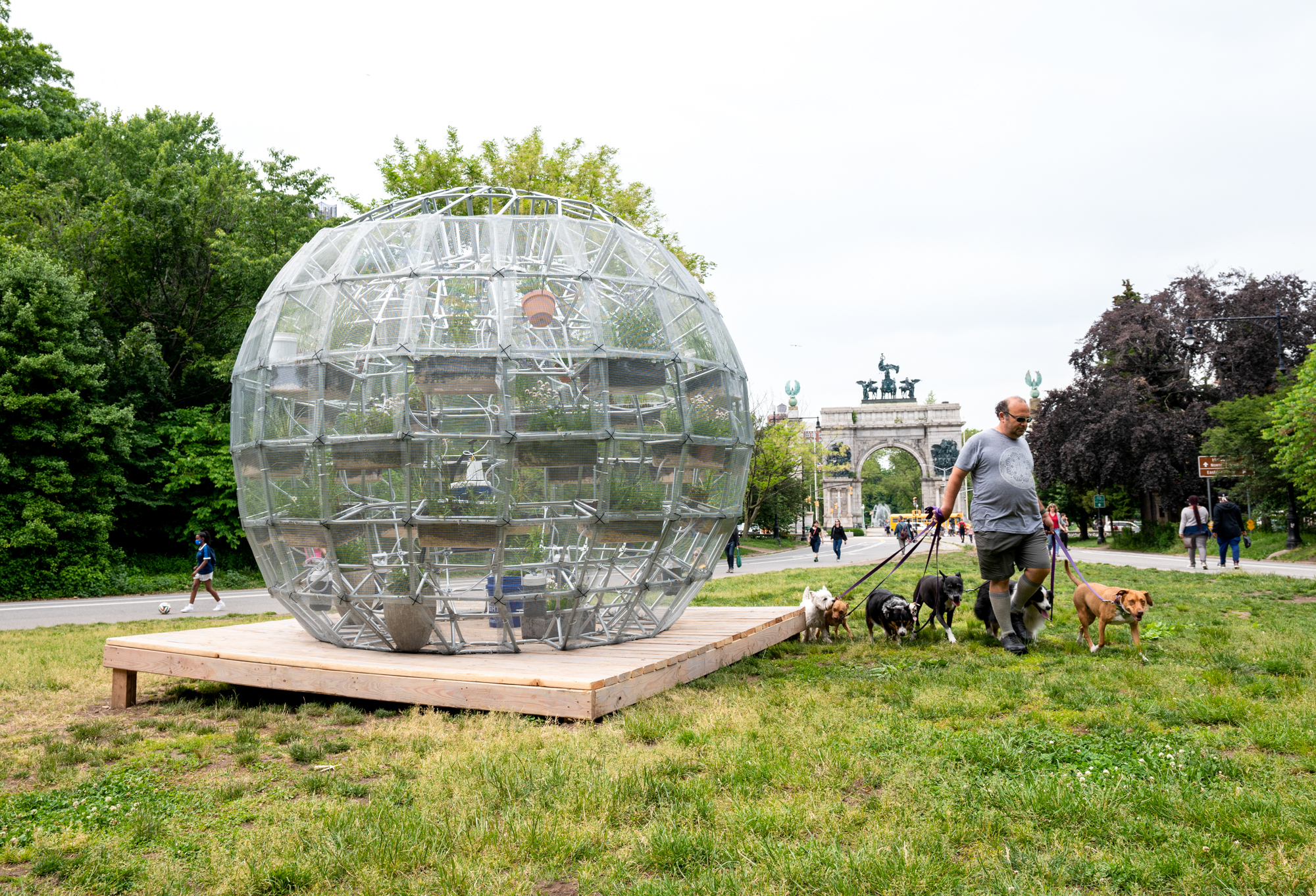 A geodesic sphere sculpture stands in a green patch of grass at the entrance to Prospect Park, with the grand stone gates of Grand Army Plaza in the background. The sphere is sitting on a wood platform and one man walks past it walking a pack of dogs of all sizes on leashes. The sculpture looms at least a few feet above his head. The sculpture is a large sphere made of metal bars covered in a steel mesh skin. Inside there are clear tubs attached to the walls and skeleton of the sphere that have brown soil, rocks, and plants inside of them. In the background stands the Grand Army Plaza stone gates and a stretch of green grass inbetween the sculpture and the gates.